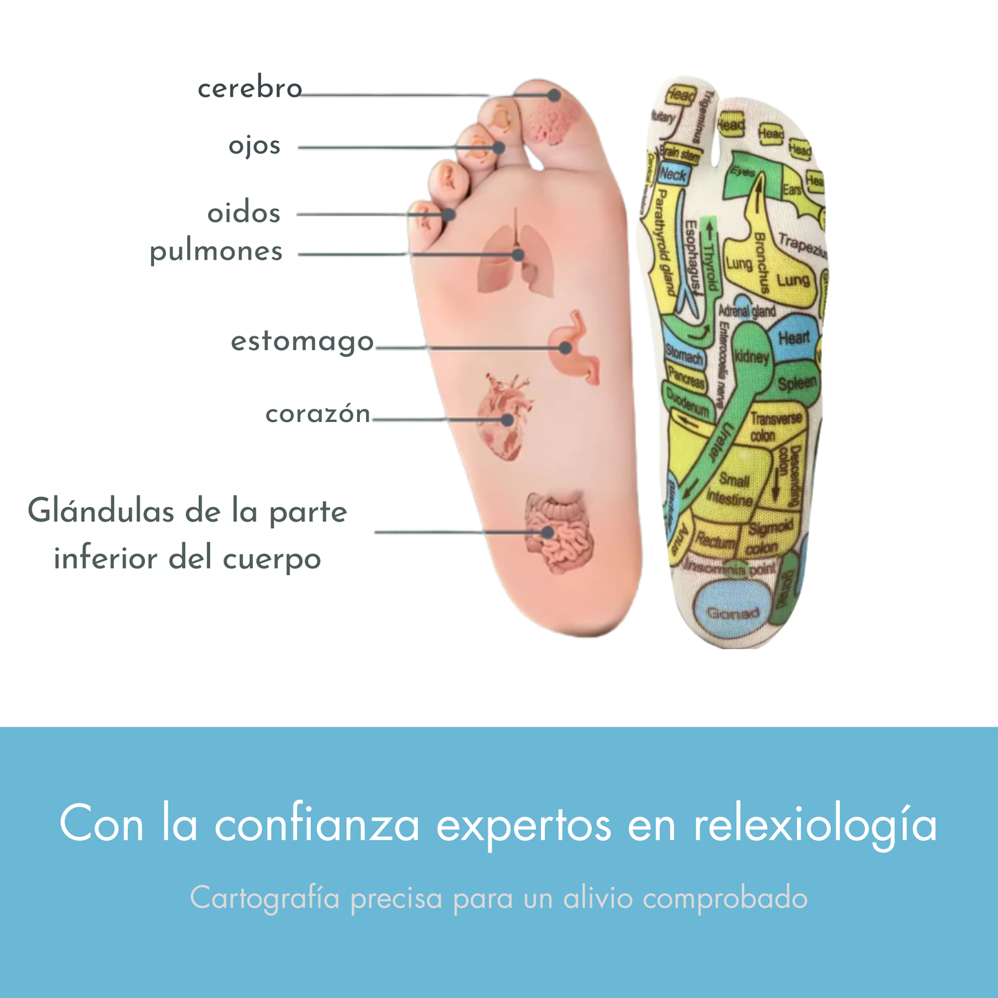 Calcetines para dolor del cuerpo, estrés y mejora del sueño